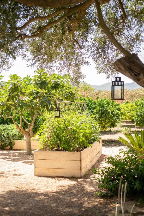 Can Arabí, Ibiza Town – Updated 2022 Prices