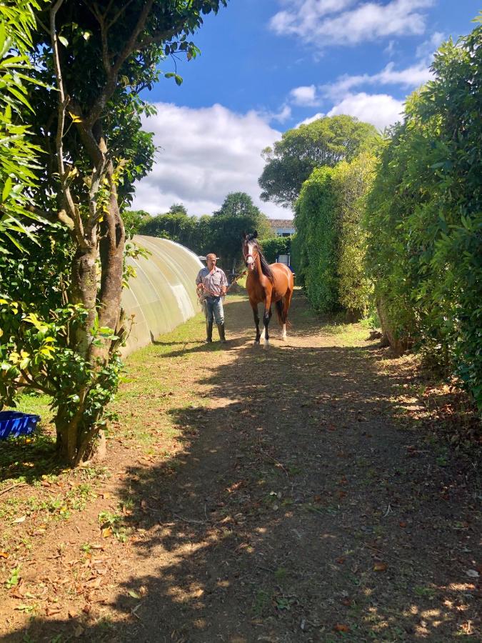 Quinta dos Sabores Farm Houses - 5