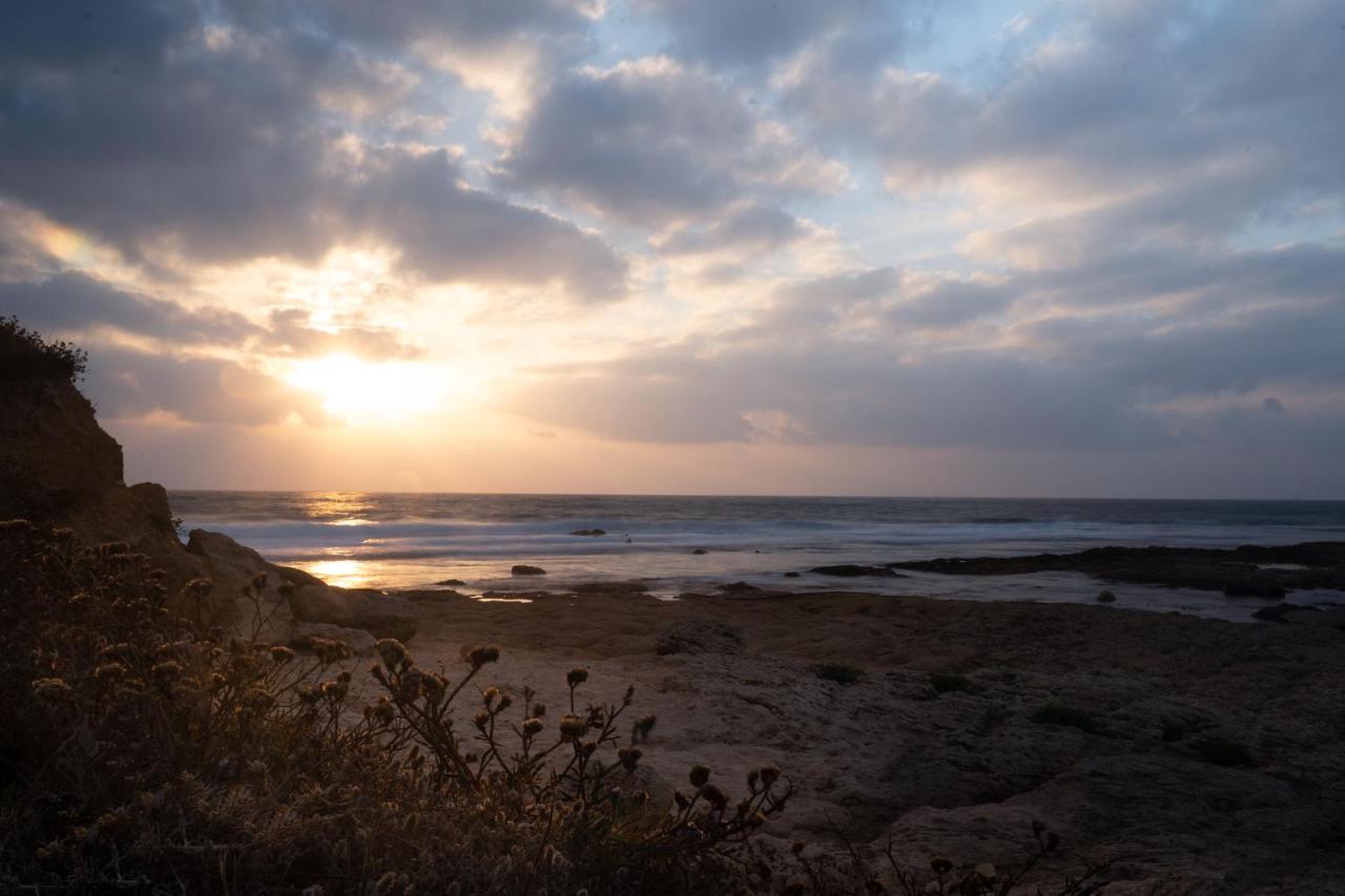 Beach: Presiada heart of Akko