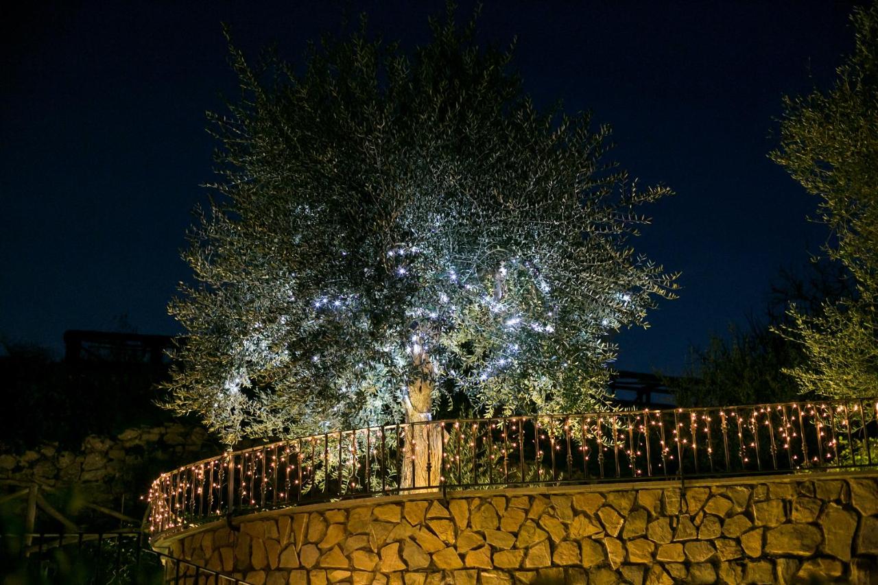 Villa Denise photo