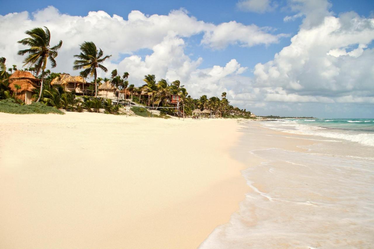 Hotel, plaża: Papaya Playa Project