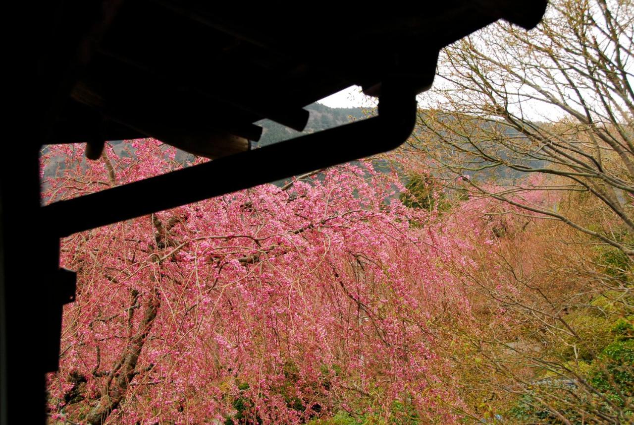 箱根小涌園 三河屋旅館 箱根町 21年 最新料金 箱根小涌園 三河屋旅館 箱根町 21年 最新料金