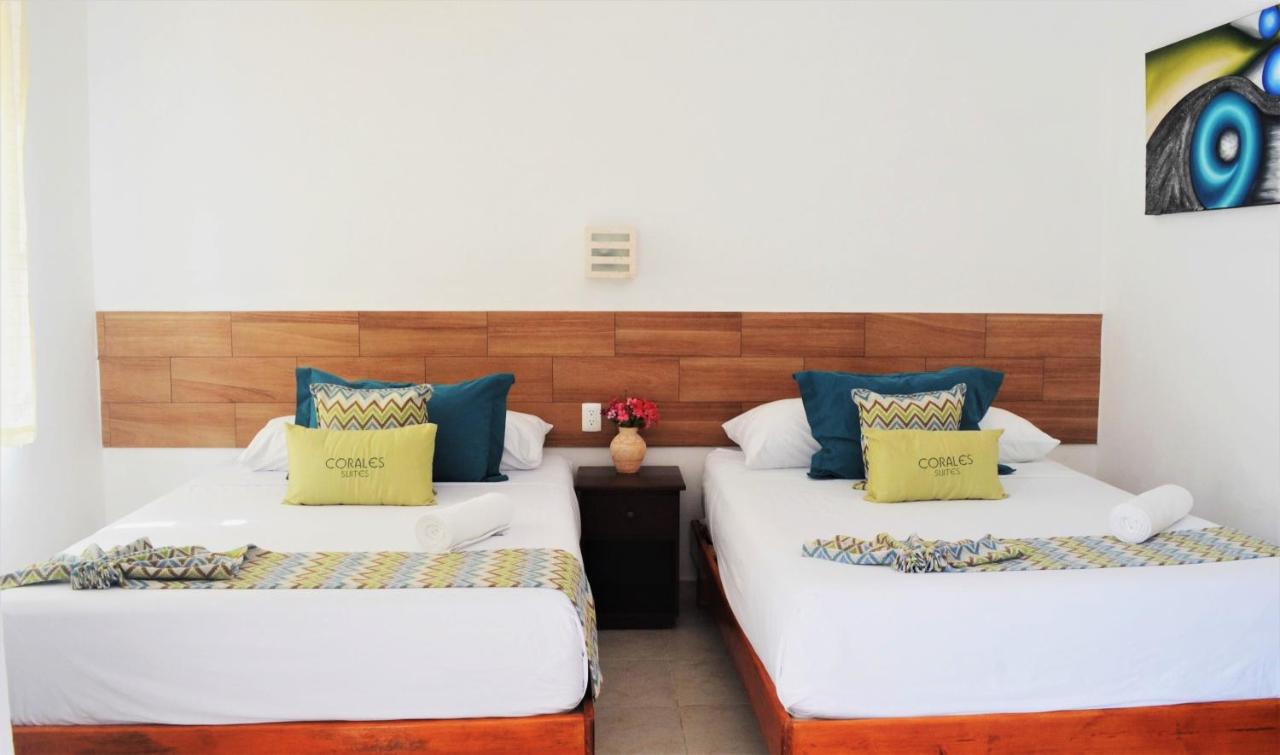 Corales Suites photo