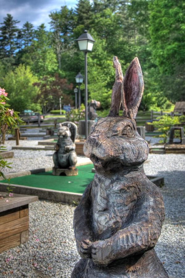 Foxhunt at Sapphire Valley — photo 23
