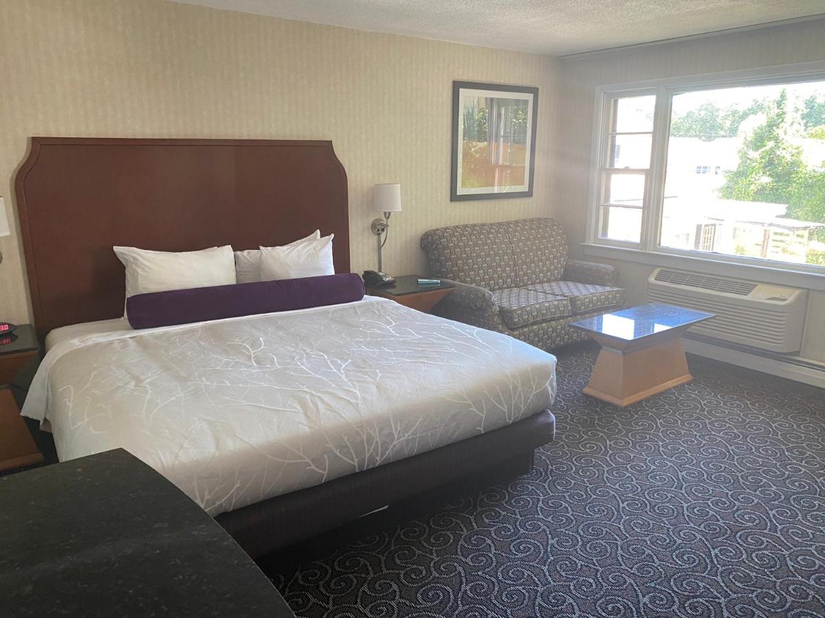 The Black Mountain Inn — photo 12