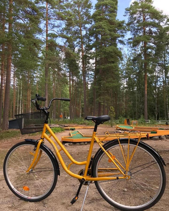 Koskenselkä Camping, Puumala – Updated 2022 Prices
