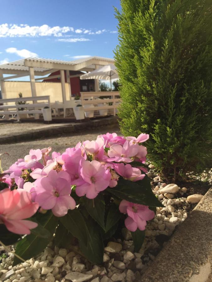 Hotel Rosalía, Padrón – Updated 2022 Prices