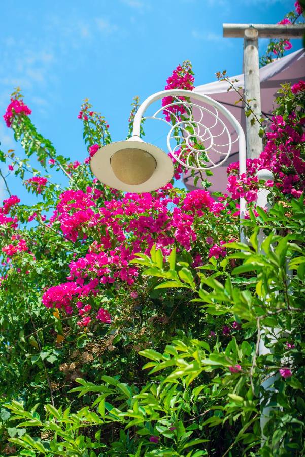 Bougainville Bay Apartments photo