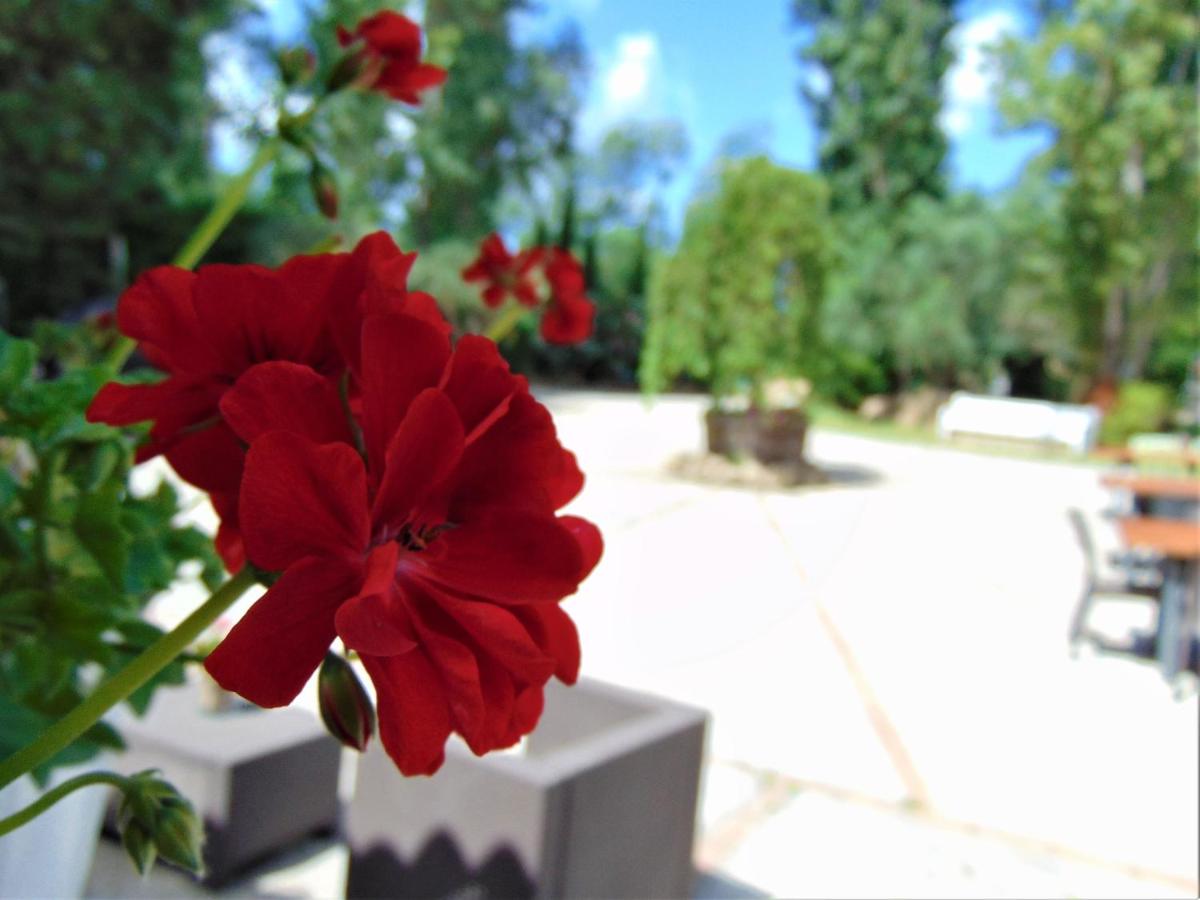 Casale Rurale photo