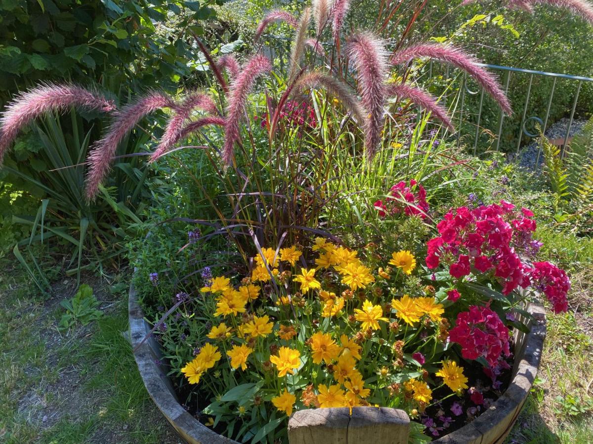 Ferienhaus Kroneck Triberg Bijgewerkte Prijzen 2021