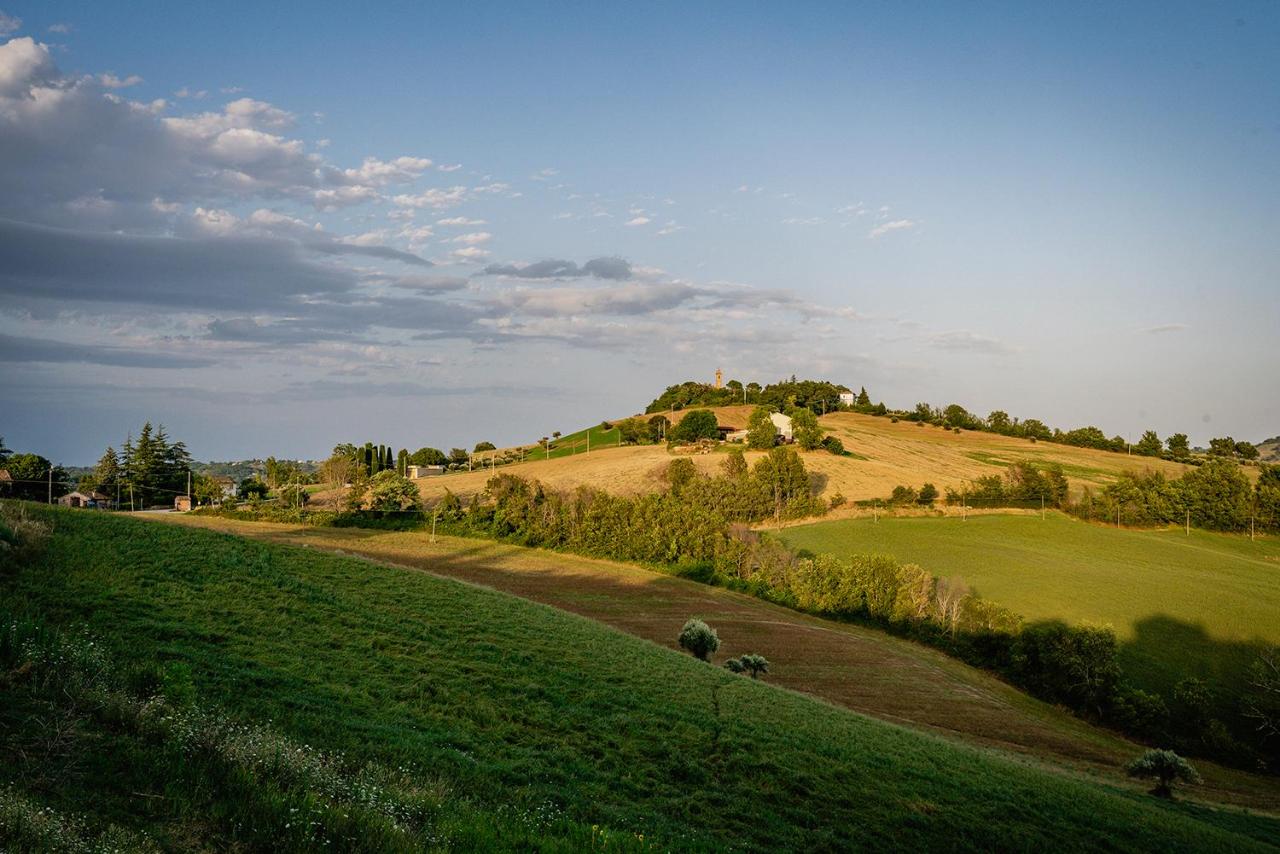 Colle Regnano photo
