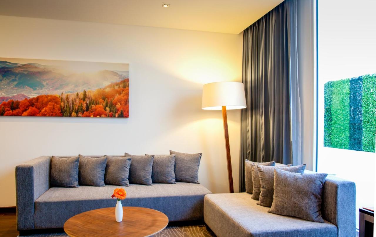 Fiesta Inn Plaza Central Aeropuerto - 2