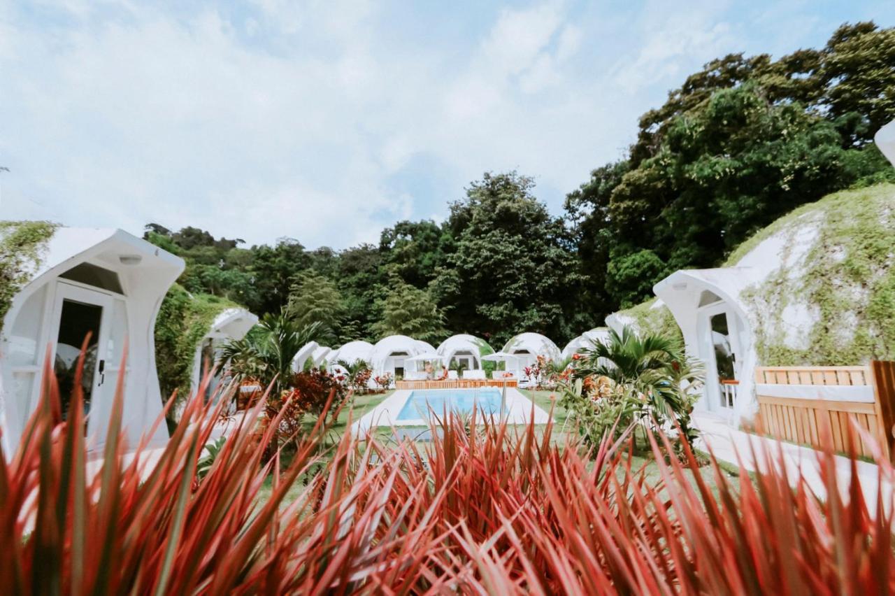 Igloo Beach Lodge photo