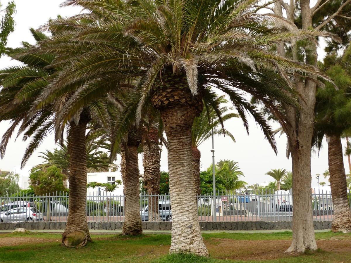 Suncanarias Apartamento Drago 326, Costa Del Silencio ...