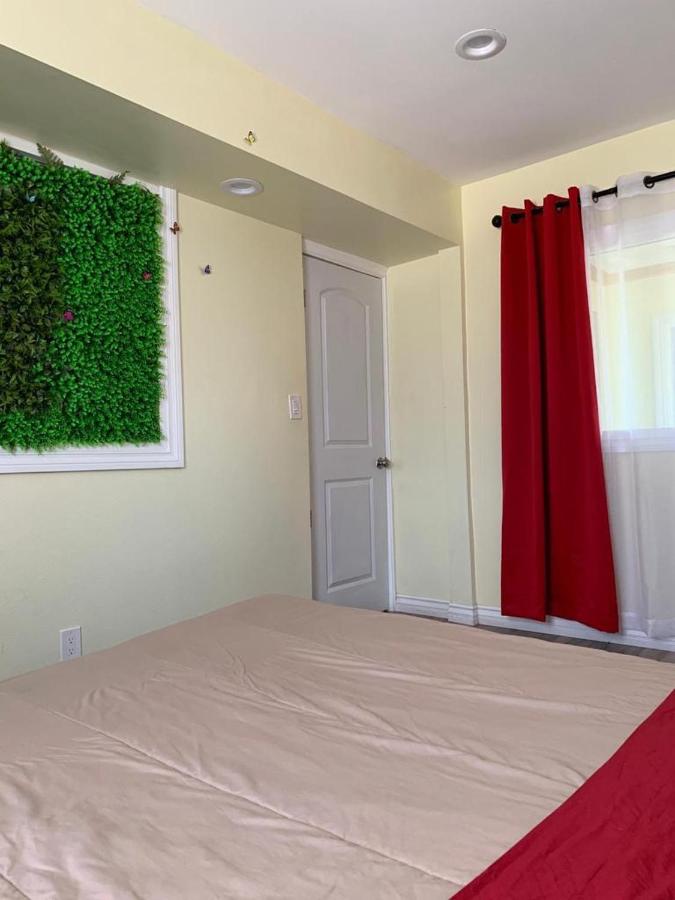 LAX Guest House — photo 17