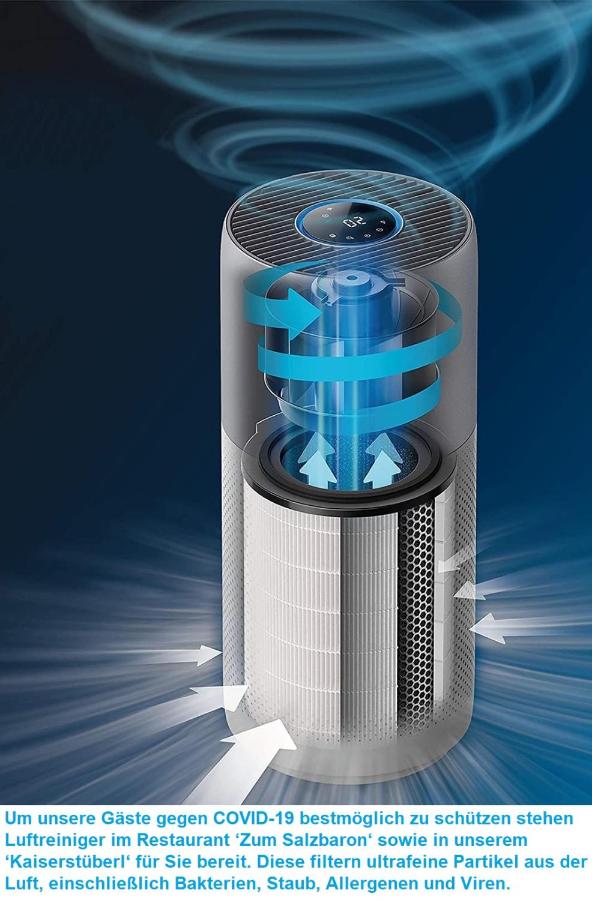 Seehotel Gruner Baum Hallstatt Harga Terbaru 2021