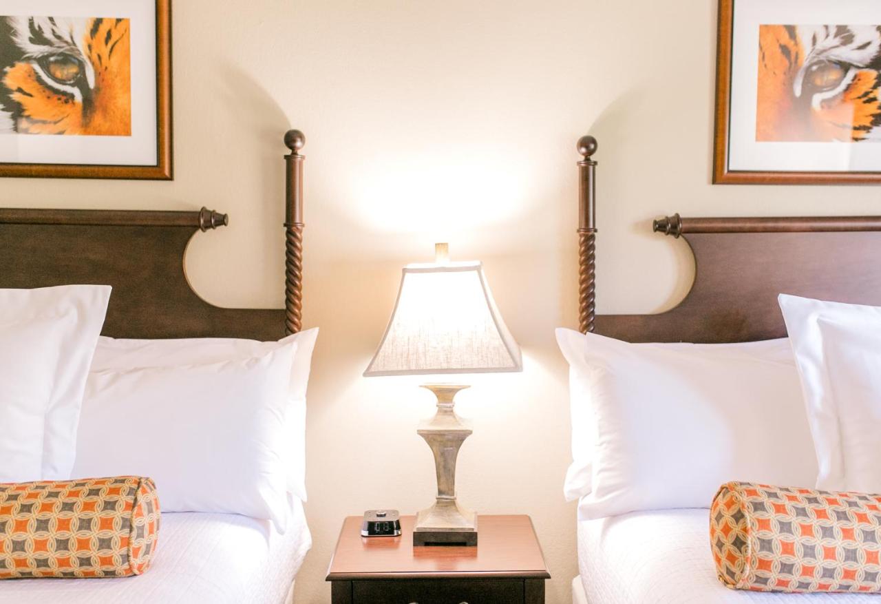 Clemson University's James F. Martin Inn — photo 10