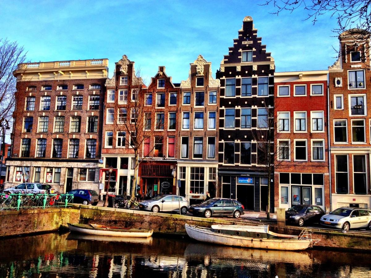 Tulip of Amsterdam - 5