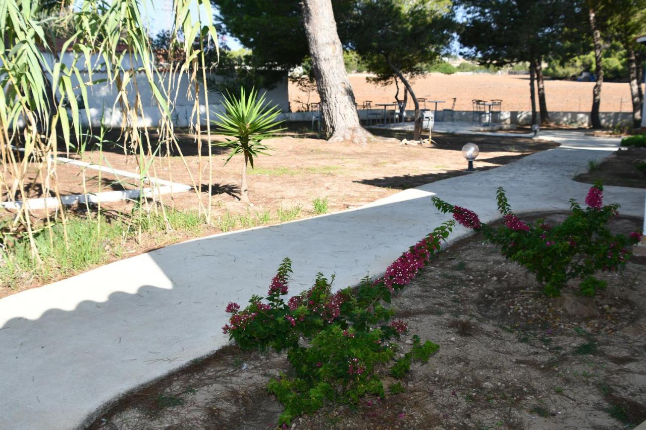 Apartamentos Lesley - Es Pi, Playa de Migjorn – Precios ...