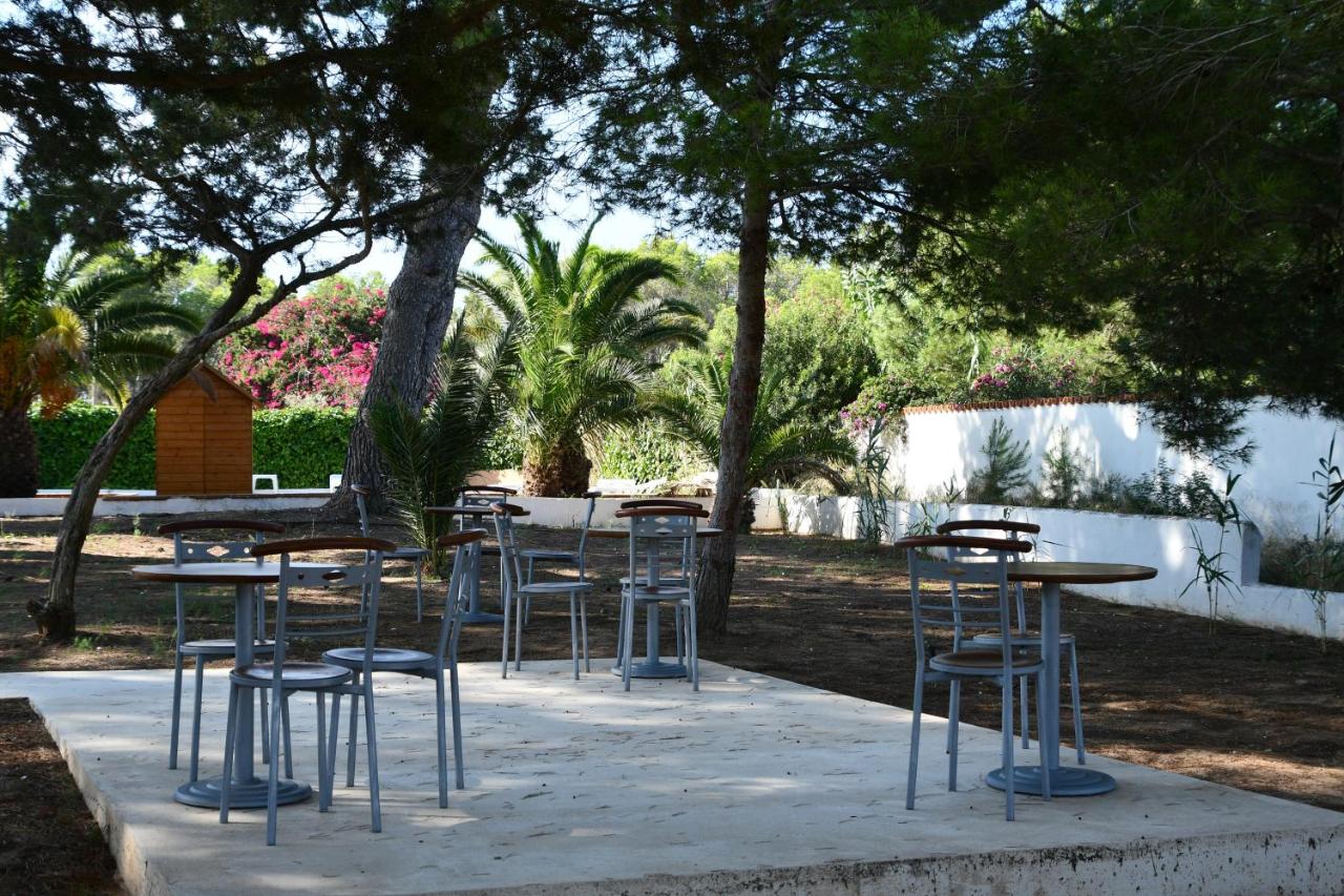 Apartamentos Lesley - Es Pi, Playa de Migjorn – Precios ...