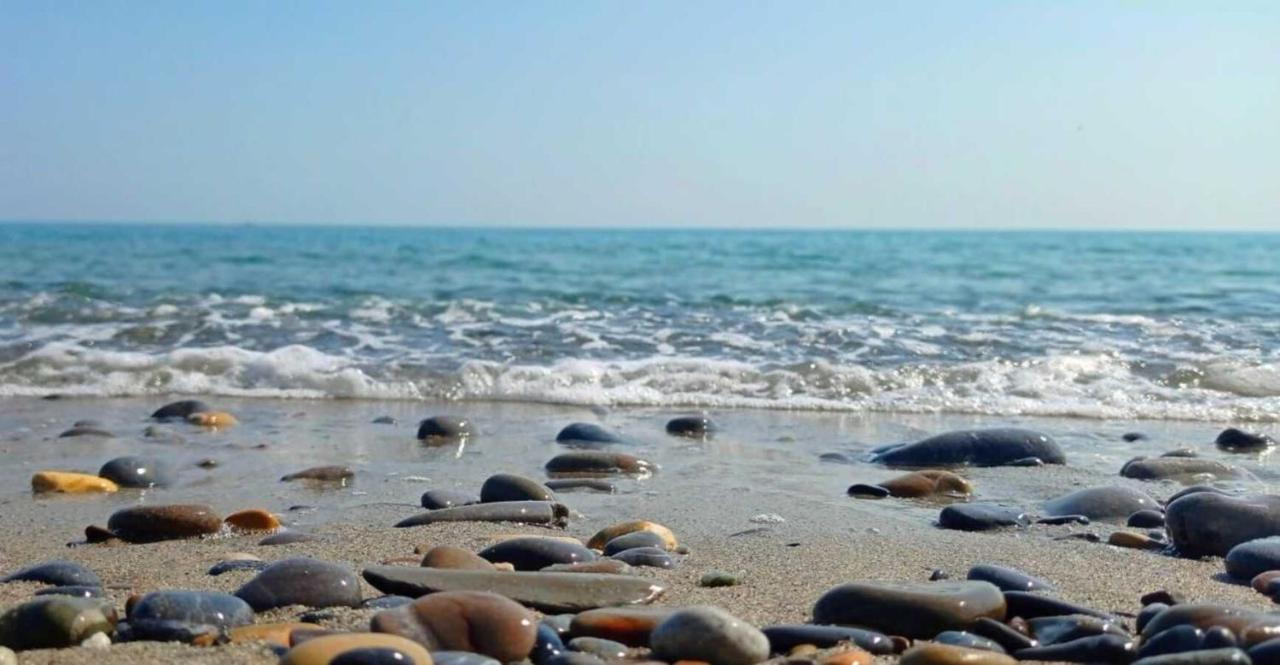 Beach: La Gaviota - Bilocale sul mare in Arziglia