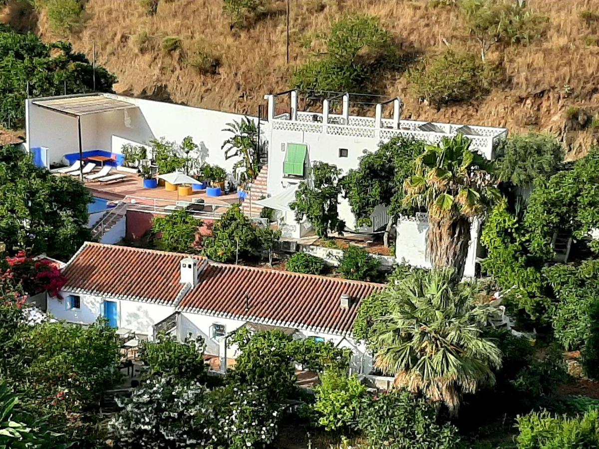 B&B rural El Oasis, Almuñécar – Precios actualizados 2022