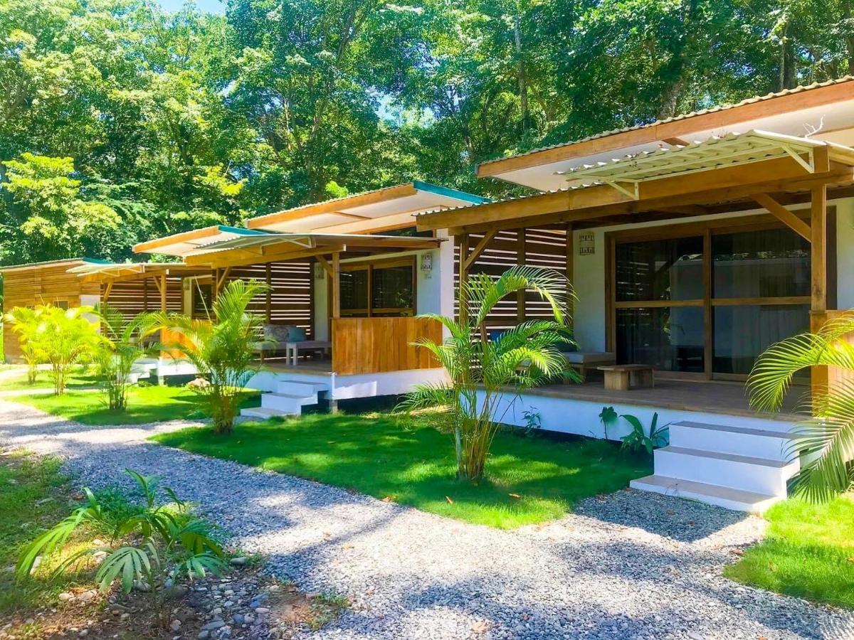 Sonora Jungle & Yoga Retreat photo