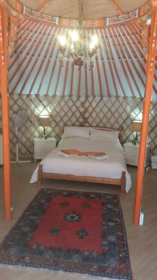 Eldorado Yurt, Algarrobo – Bijgewerkte prijzen 2022
