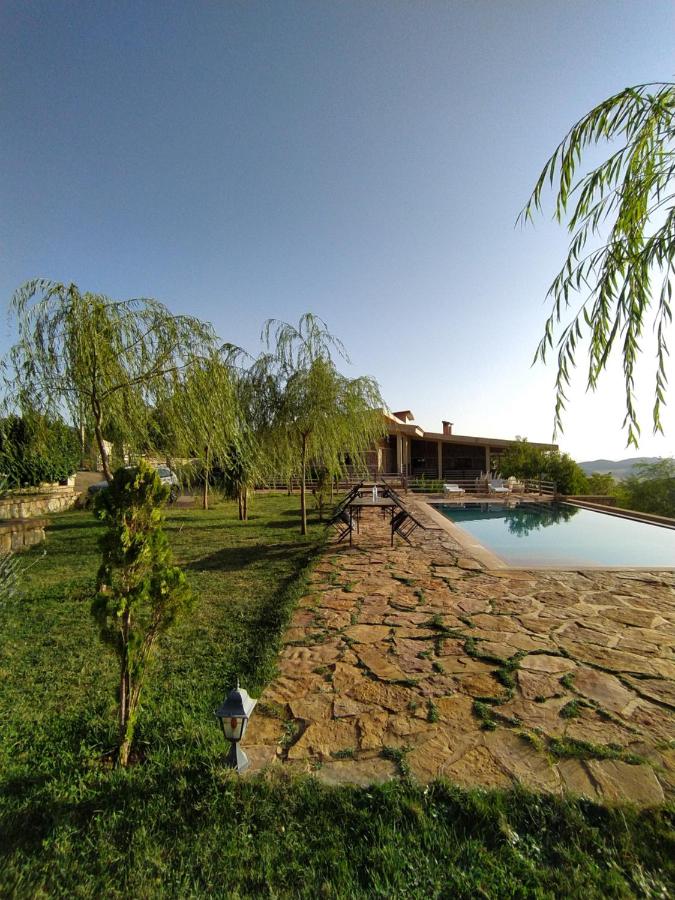 Rise In Valley
