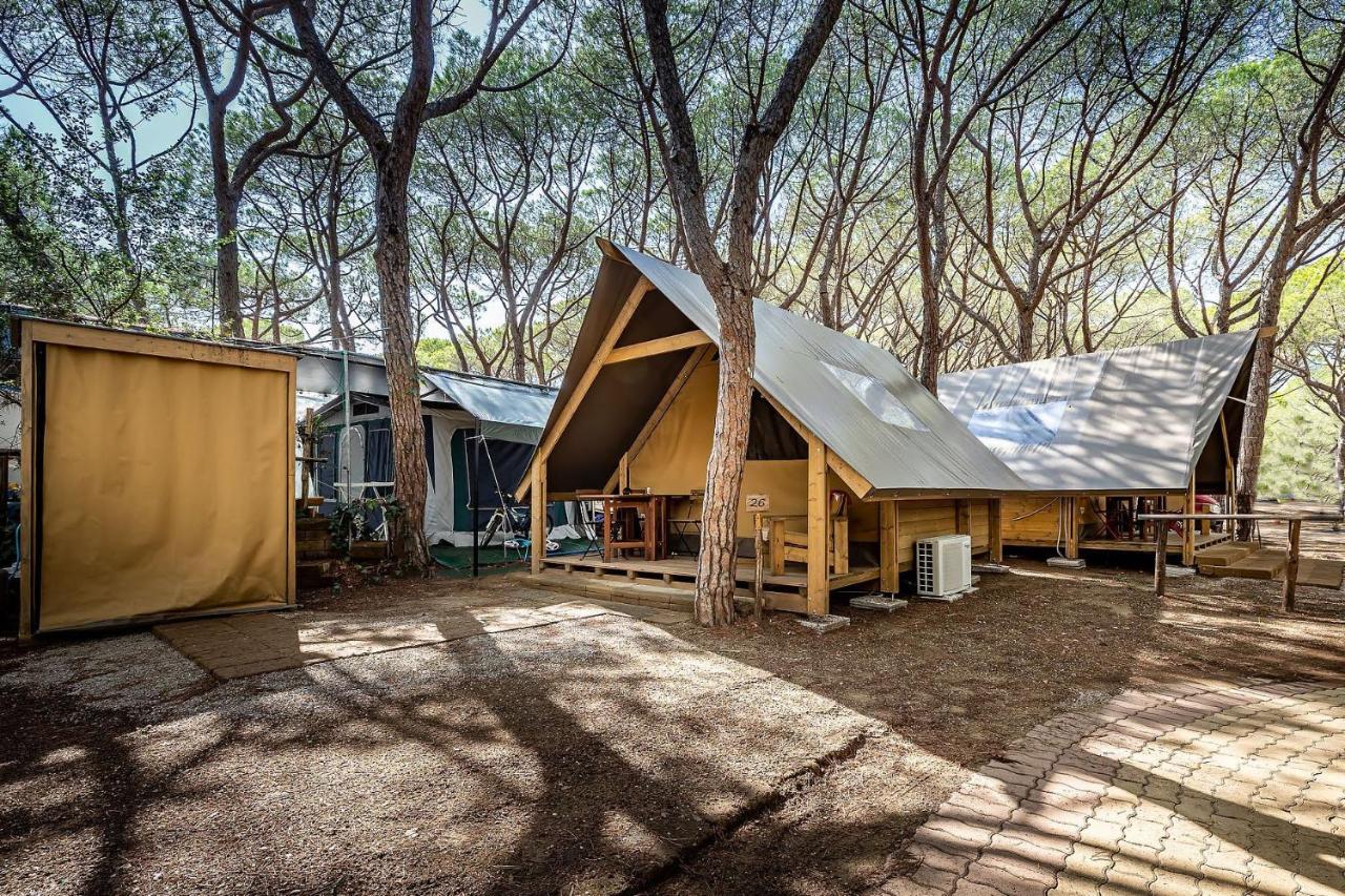 Camping Internazionale Etruria Castiglione Della Pescaia Ceny Aktualizovany 2021