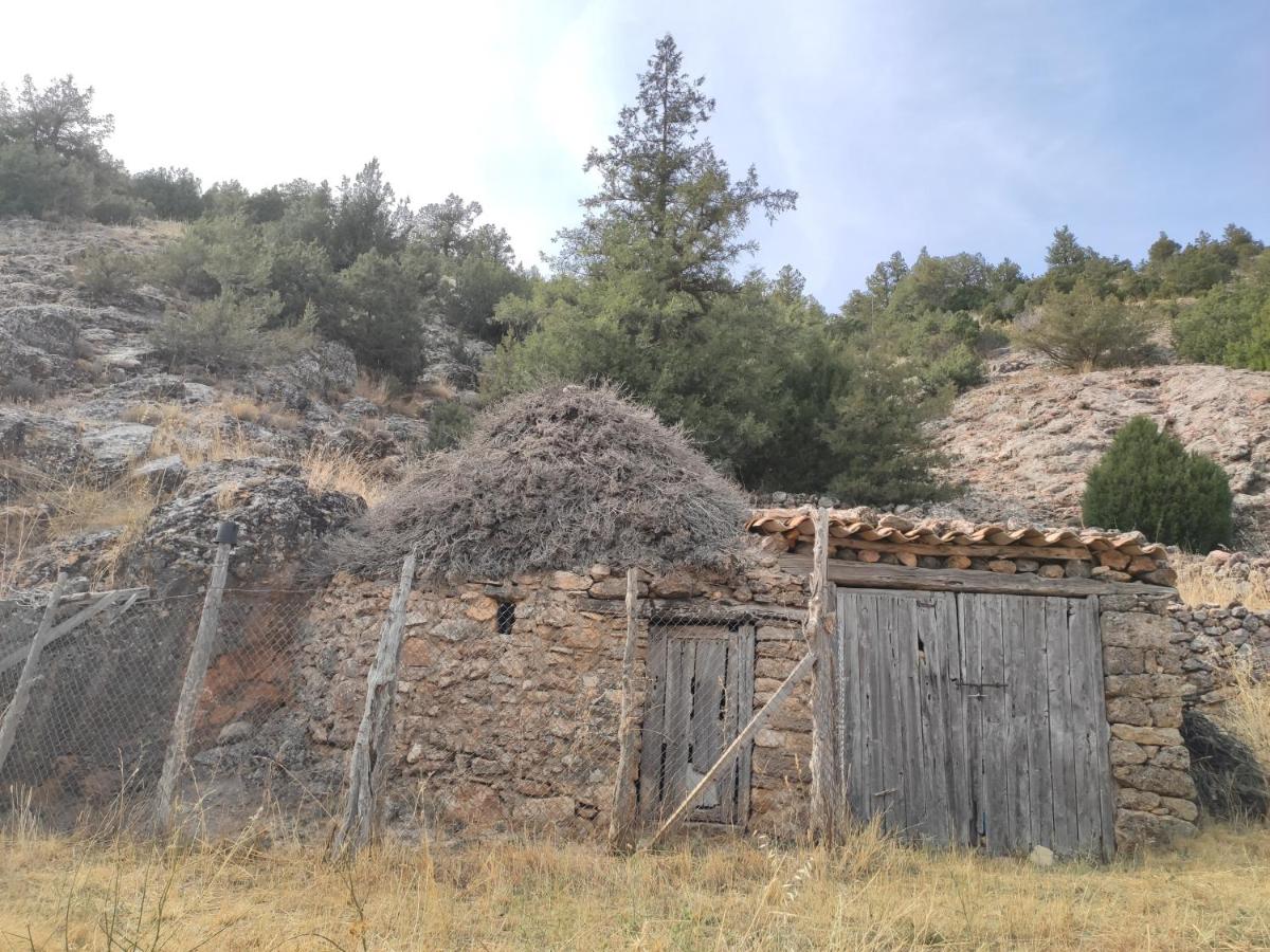 casa rural Sierra del Solorio (posada de Iruecha), Iruecha ...