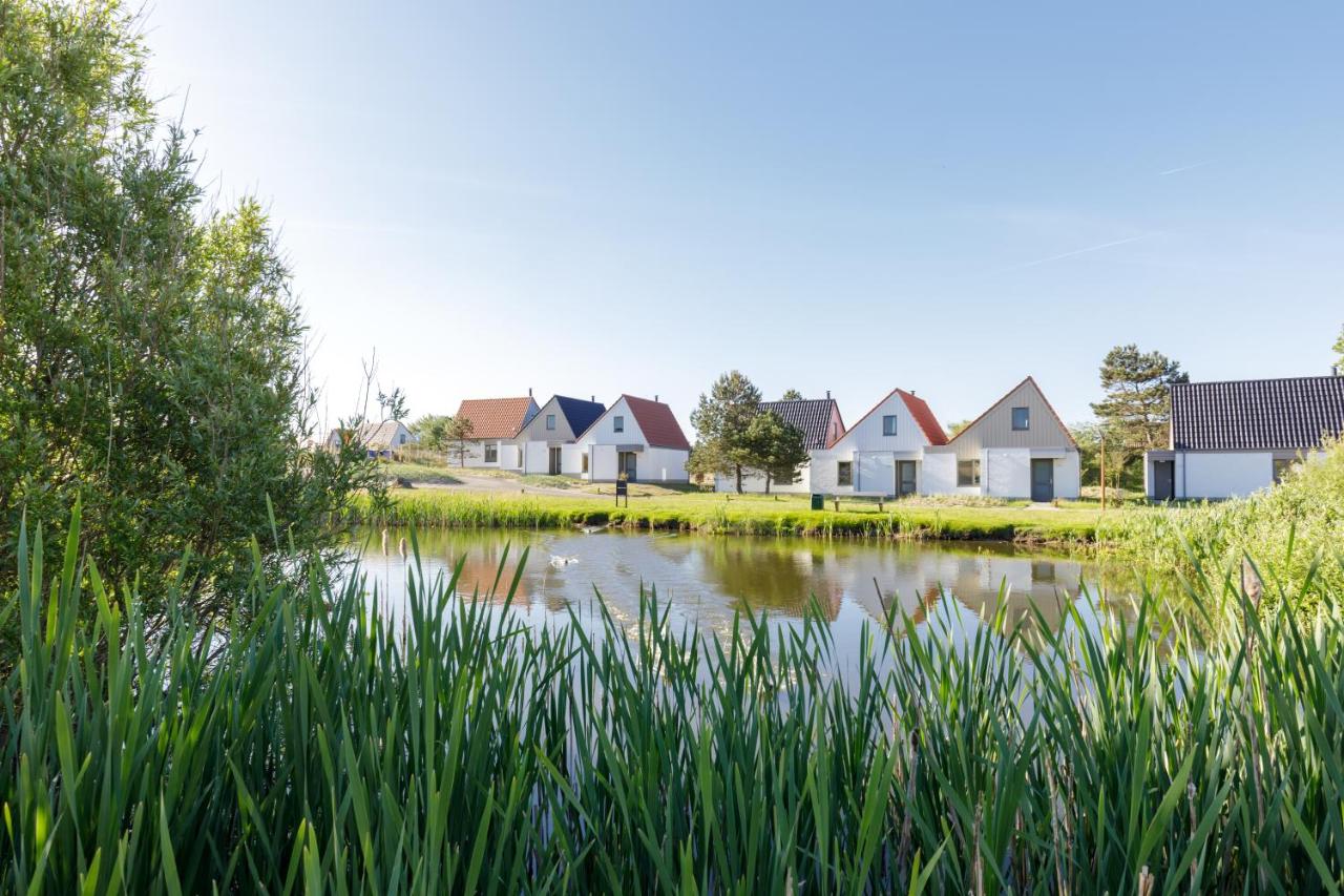 Vakantiepark aan zee in België of Nederland: Frisse zeebries, strandwandelingen, en vliegeren - Reisliefde