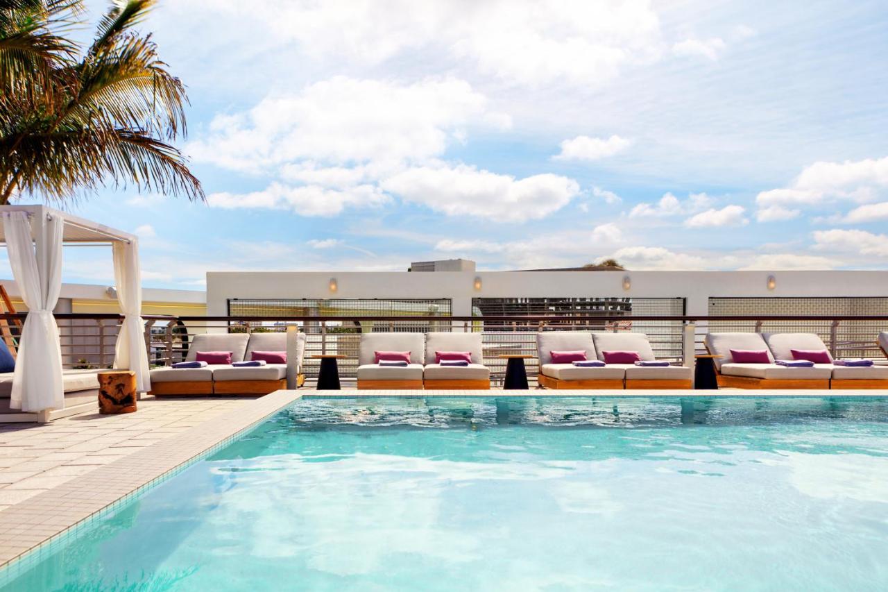 Rooftop swimming pool: Kimpton - Hotel Palomar South Beach, an IHG Hotel