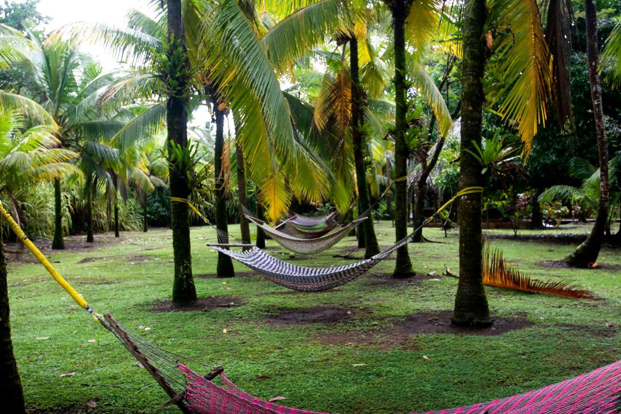 Turtle Beach Lodge — photo 11