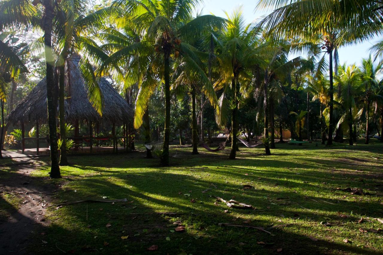 Turtle Beach Lodge — photo 19