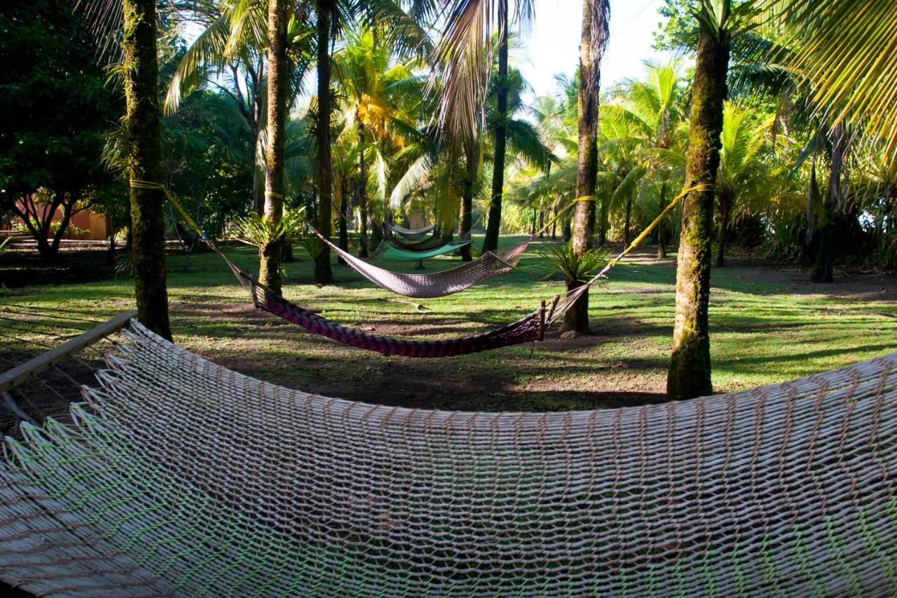 Turtle Beach Lodge — photo 8