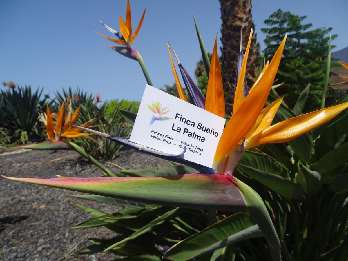Vakantiehuis Finca Sueño La Palma (Spanje Tazacorte ...