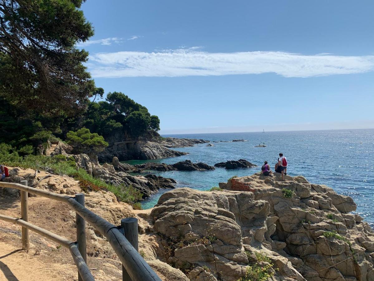 Antonella II, Platja dAro – Tarifs 2022