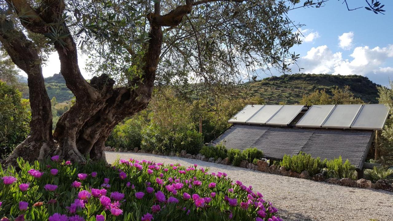 Casa Olea hotel rural, Priego de Cordoba – ažurirane cene za ...
