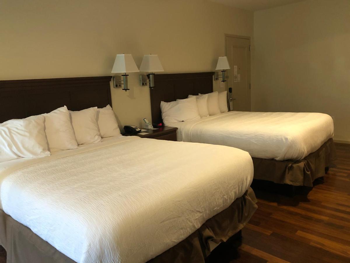 Grand Eastonian Hotel & Suites — photo 23