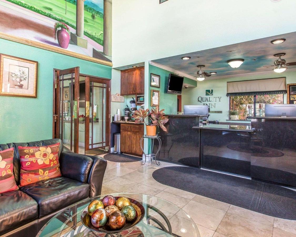 Florida Inn — photo 14