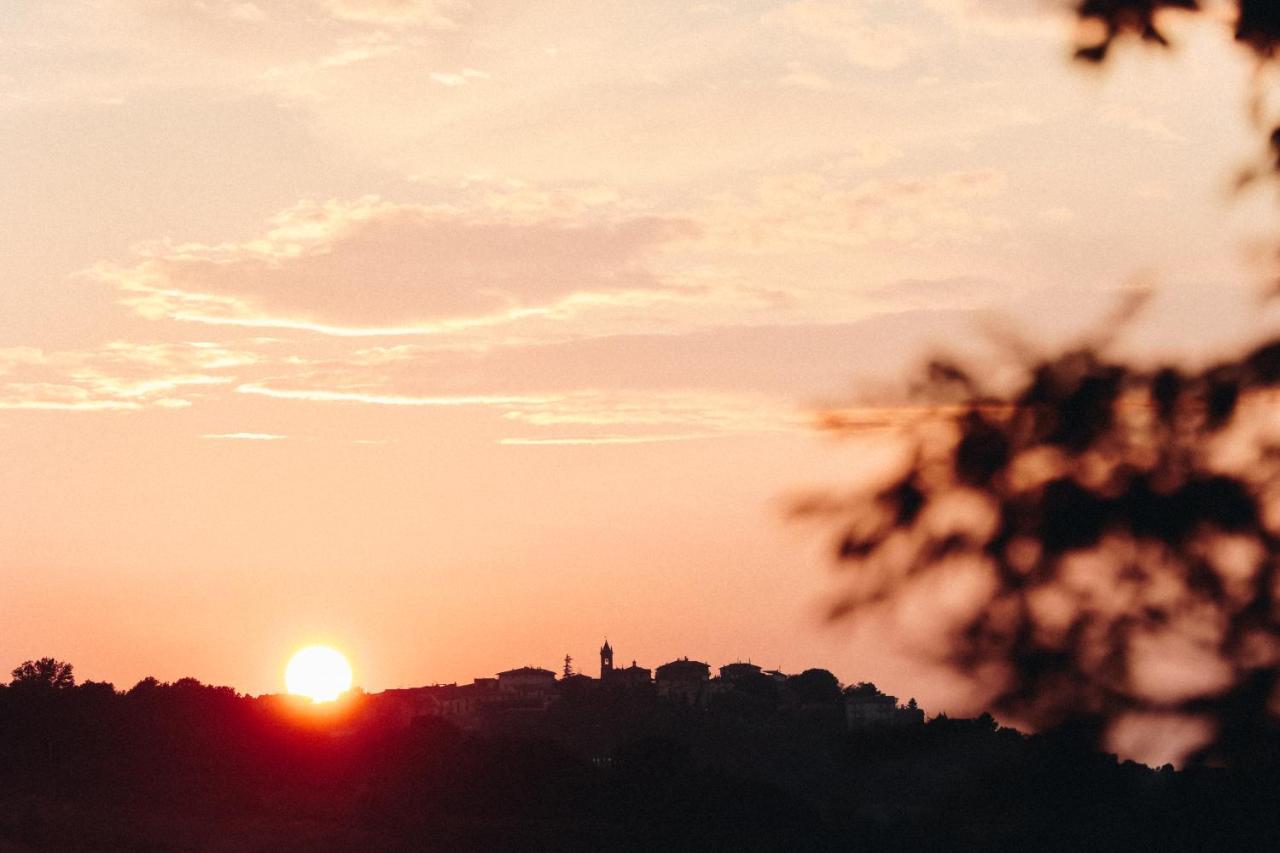 Tenuta Sant'Ilario - 3