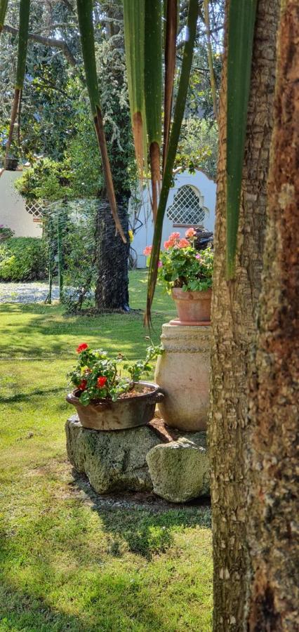 Hotel Mediterraneo photo