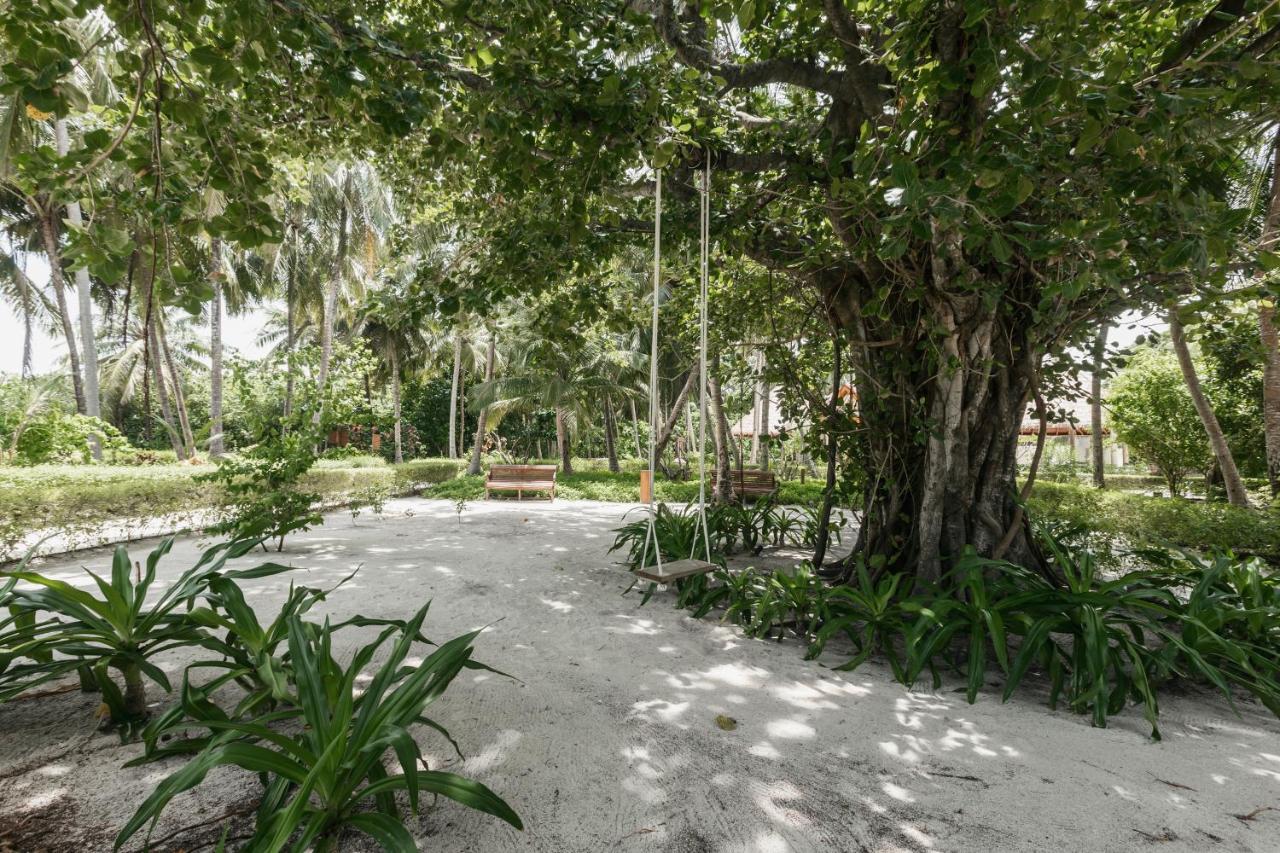 Beach: Reethi Faru, Bio Luxury Resort