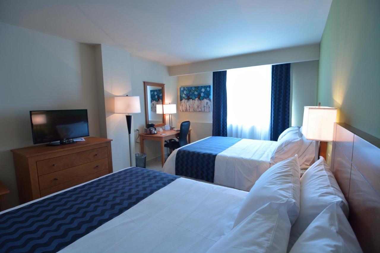 Holiday Inn Express Cabo San Lucas, an IHG Hotel photo