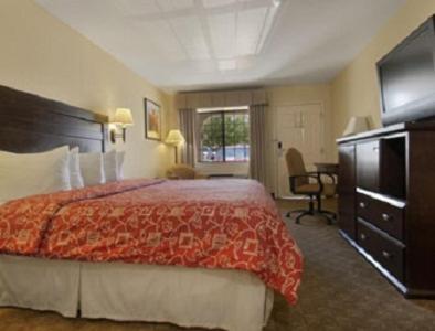 All Inn Hotel — photo 12