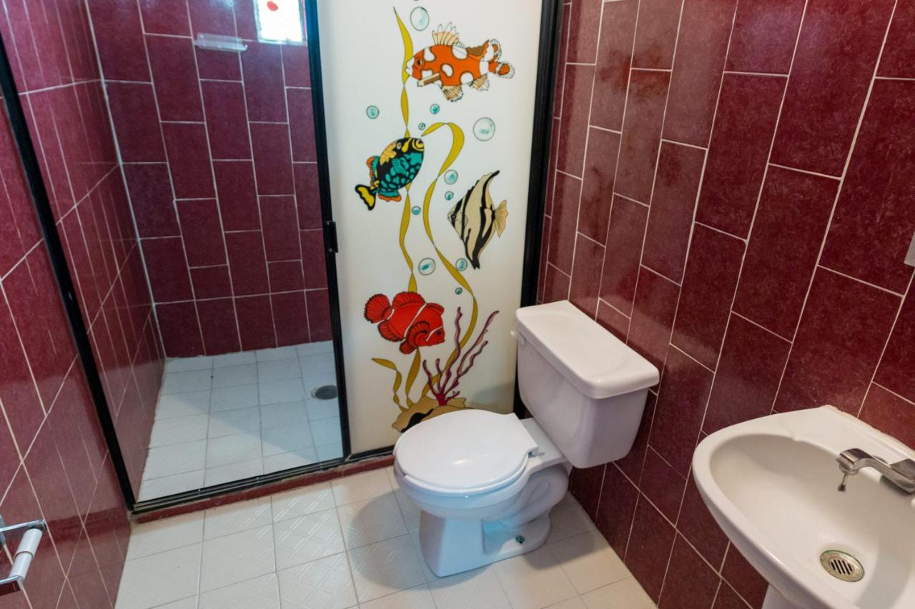 Hotel Isis photo