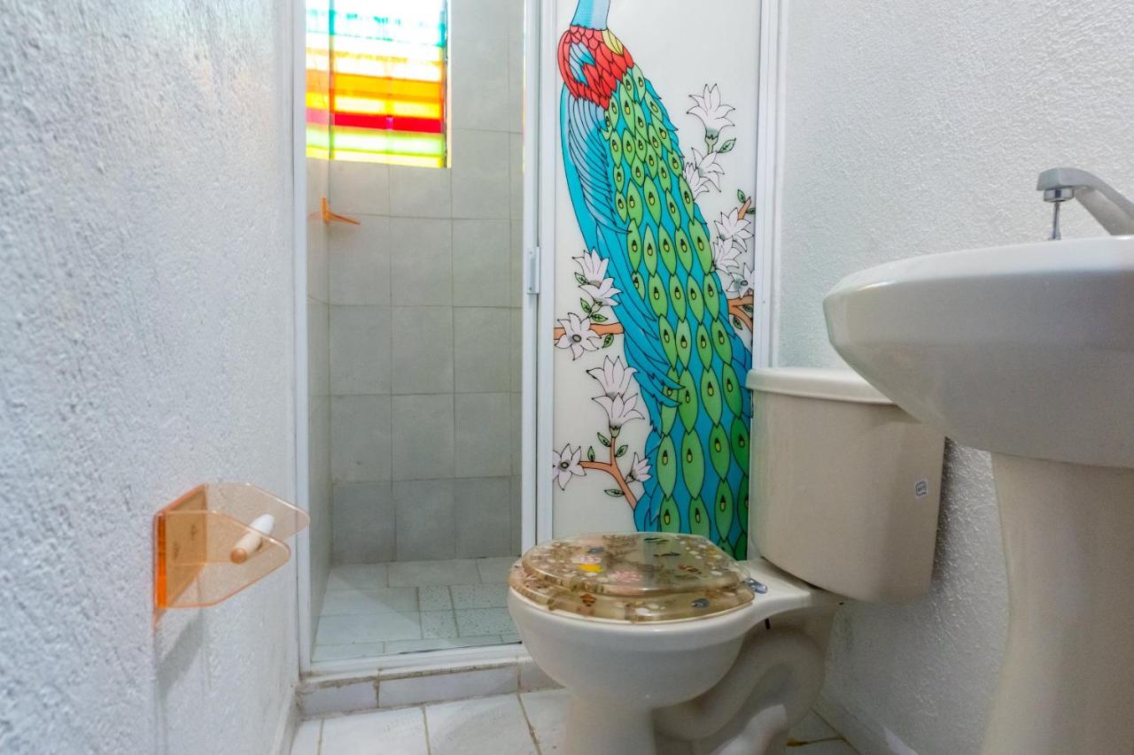 Hotel Isis photo