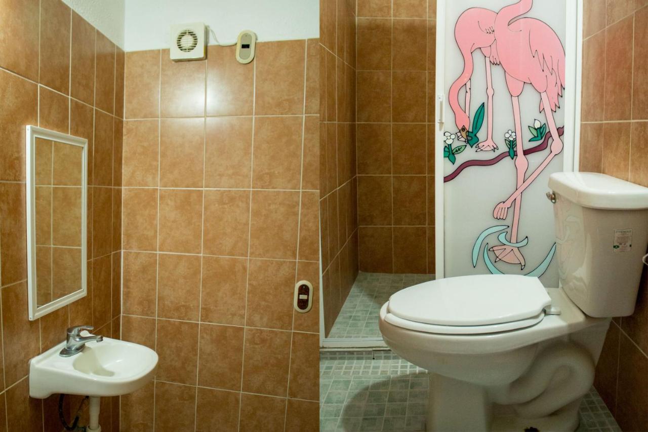 Hotel Isis photo