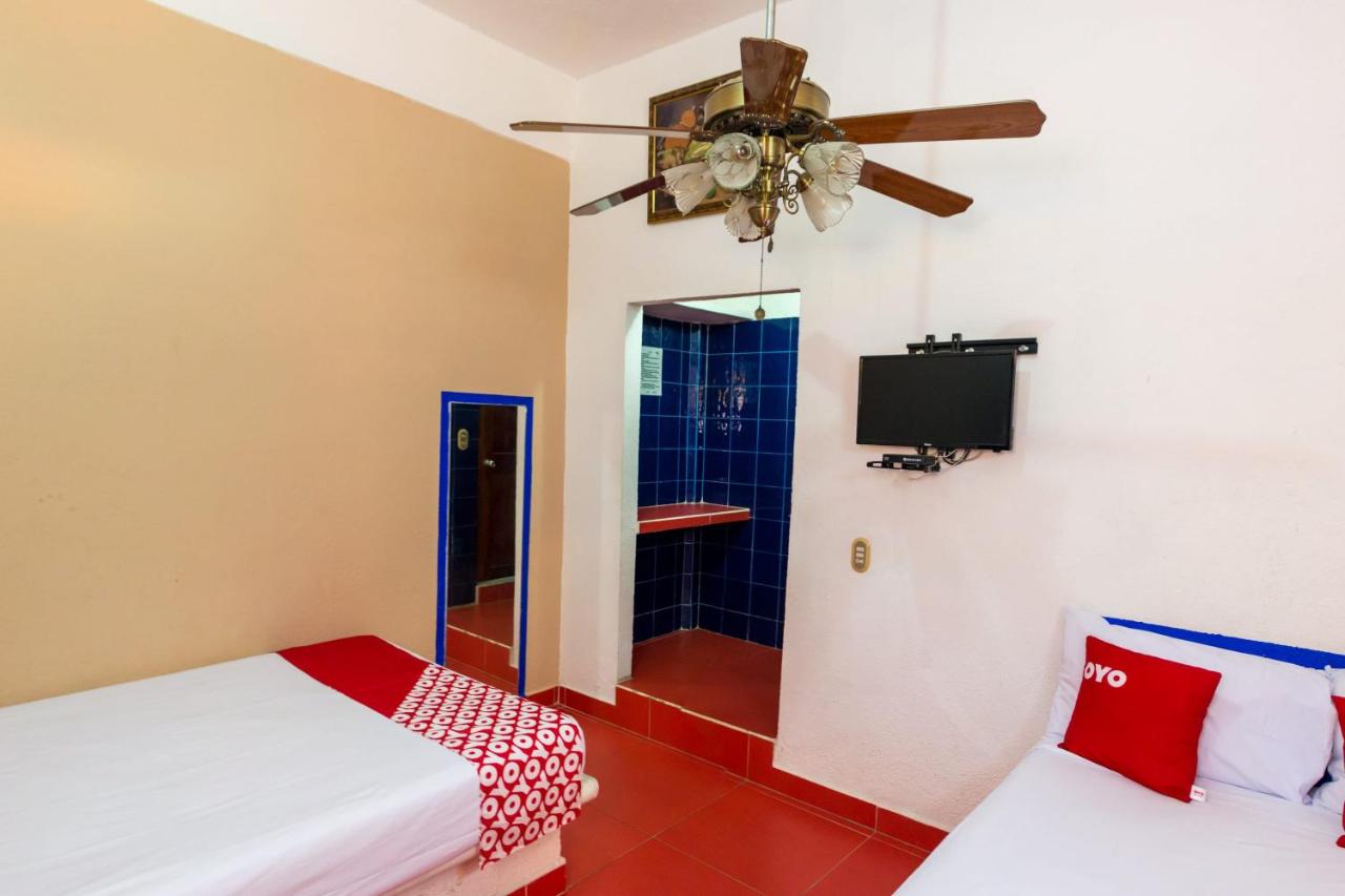 Hotel Isis photo